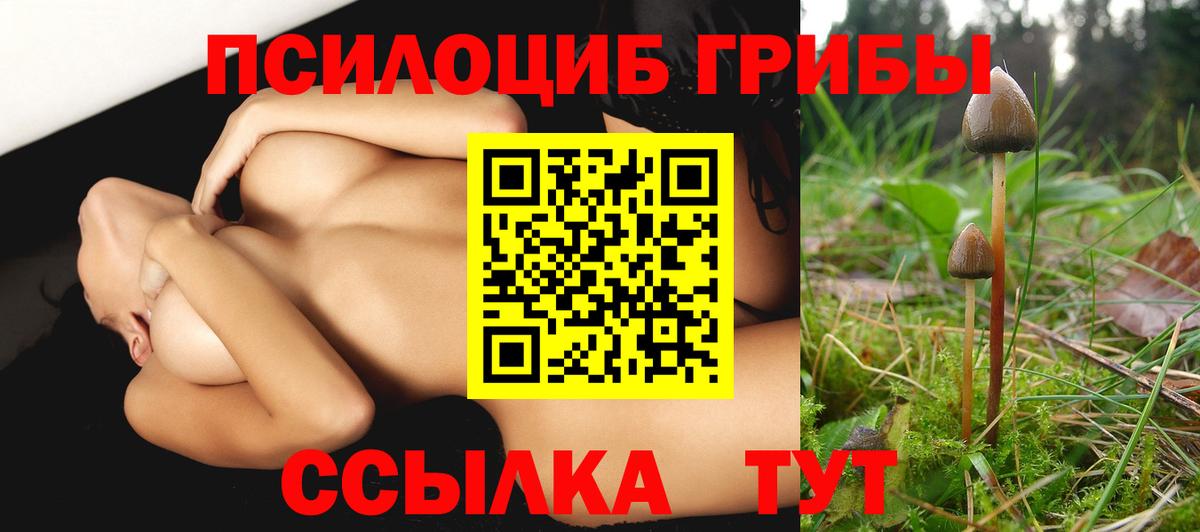 Псилоцибиновые грибы мухоморы Ступино