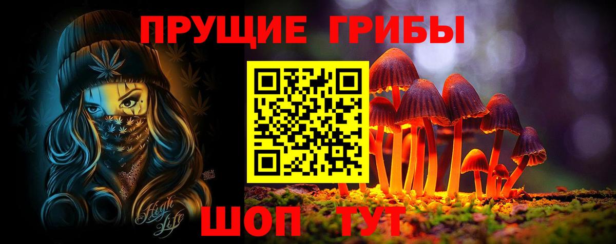 Ступино  даркнет сайт  Вход с VPN  Псилоцибиновые грибы GOLDEN TEACHER 